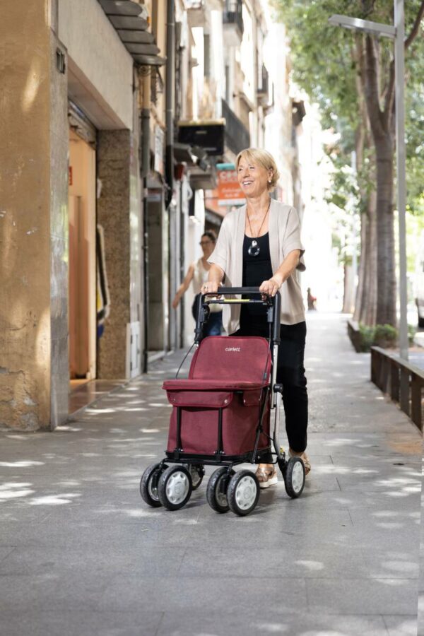 Rollator Lett 900 : Rollator & chariot de course